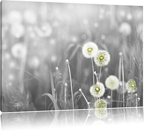 Pixxprint wunderschöne Pusteblumen B&W, Größe: 120x80cm, Leinwandbild, fertig gespannt, Wandbild, Dekoration, Kunstdruck, kein Poster