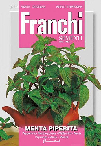 BUSTINA SEMI DI MENTA PIPERITA ORTO GIARDINO SEMI