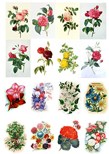Decoupage Papier Pack (20 blatt 10x15cm) Flowers Roses Garden Wildflowers FLONZ Vintage Papier