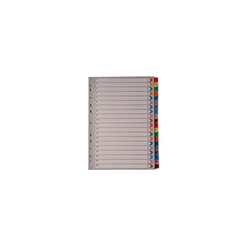 wx01521 weiß Box A4 Mylar Index 1–20 Mehrfarbig