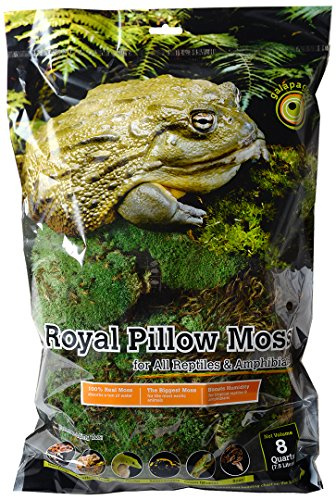 Galapagos (05254 Royal Clumps of Real Pillow, Natural, 8 quart