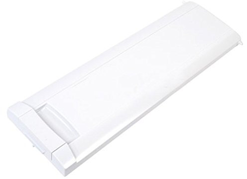 Gorenje RB6288OP Evaporator Door