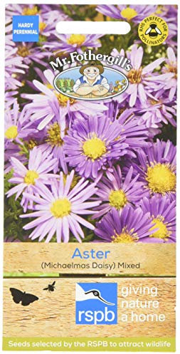 Mr Fothergill's 13280 Flower Seeds, Aster (Michaelmas Daisy) Mixed