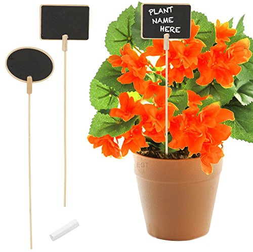 Panorama Mini Wooden Herb Plant Pot Blackboard Garden Kitchen Seed Flower Labels Tags