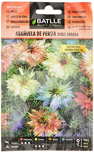 Batlle - Semi di Fiori - Ragno di Persia Doppia variata