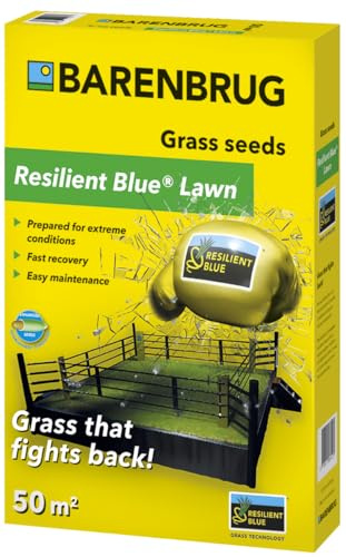 Rasensamen Barenbrug Resilient Blue Lawn 1 kg - Great in Grass - Toleranzgrassamen