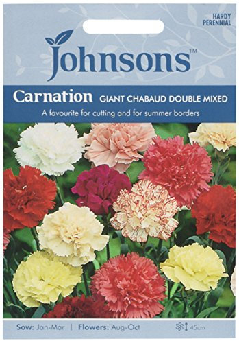 Johnsons 15954 Flower Seeds, Carnation Giant Chabaud Double Mixed