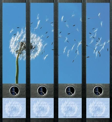 Fileart Ordnerdekoration Pusteblume