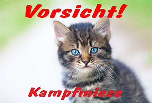 Melis-Folienwerkstatt Schild Katze – Vorsicht Kampfmieze – Katzenschild - 30x20cm Hartschaum Aluverbund -S313G