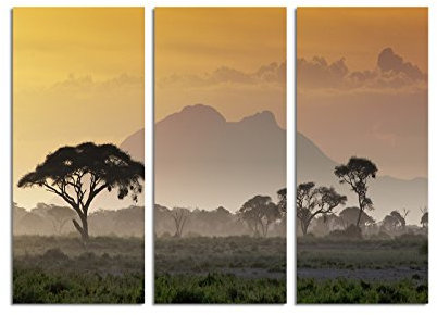 Paul Sinus Art 130x90cm – Keilrahmenbild Sonnenuntergang Kenia Afrika Park 3teiliges Wandbild auf Leinwand und Keilrahmen - Fotobild Kunstdruck Artprint