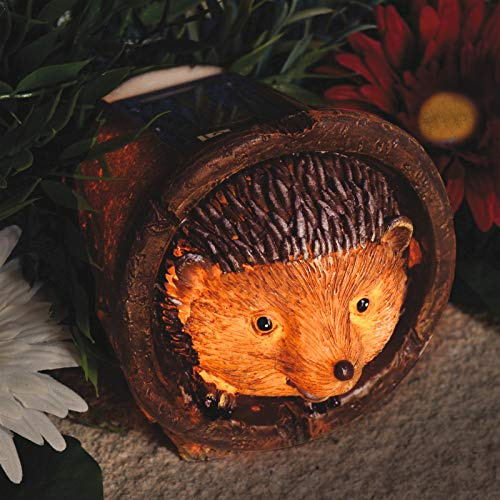 Burwells Hedgehog Solar Light – Solar Powered Outdoor Garden Polyresin Novelty Animal LED Lighting Ornament Decoration for Patio, Decking, Balcony, Flower Beds, Borders - Measures 11 x 11 x 14.5cm