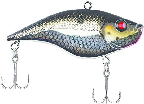 Berkley Warpig Fishing Lure, Black Silver, 1/2 oz, 3in | 8cm Crankbaits, Lipless Sinking Bait Features Aggressive Action with Maximum Sound and Vibration