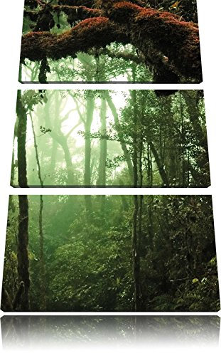 Pixxprint Regenwald Moos Lianen See, Leinwandbild 3 Teilig, Gesamtmaß: 120x80cm, Wandbild, Dekoration, fertig gespannt, Kein Poster