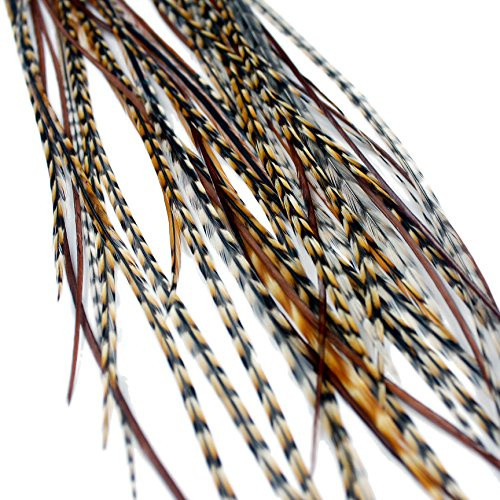 Extensiones de pelo de plumas reales + anillos/lazo - Auburn Naturals (5 Plumas)