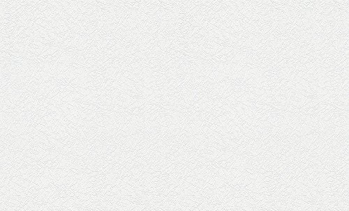 A.S. Création 25 x 1.06 m Made in Germany White Paintable Non-Woven Wallpaper 573513 5735-4950 13
