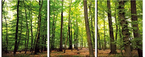1art1 Wälder Poster Wald Der Stille, 3-Teilig Bilder Leinwand-Bild Auf Keilrahmen | XXL-Wandbild Poster Kunstdruck Als Leinwandbild 120x50 cm
