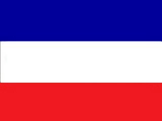 DS Deko-Service Textil-Band-Nationenband Frankreich+NL, je Rolle 25 Meter x 55mm Breite, Frei Haus