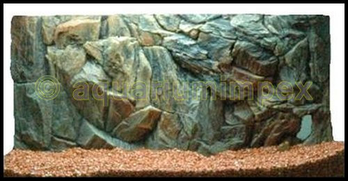 3D Aquarien Rückwand 60x30 Fels mit Wurzel