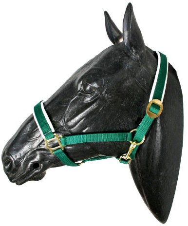 ARBO-INOX Halfter Nylonhalfter Stallhalfter Warmblut grün