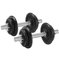 SONGMICS Hanteln, Hantelset aus Gusseisen, Kurzhanteln, 2 x 10 kg, verstellbar, Workout, Fitnesstraining, Gewichtheben für Zuhause, Fitnessstudio, tintenschwarz SYL20T