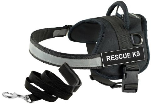 Dean and Tyler Bundle – EIN DT Works-Sicherheitsgeschirr, Rescue K9, klein (63,5 cm – 86,4 cm) + eine gepolsterte Welpen-Leine, 1,8 m Edelstahlverschluss, Schwarz