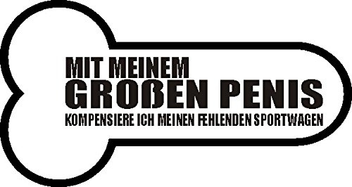 NetSpares 1 x Plott Aufkleber Mit Meinem Großen Penis Shocker Sticker Tuning Static Fun