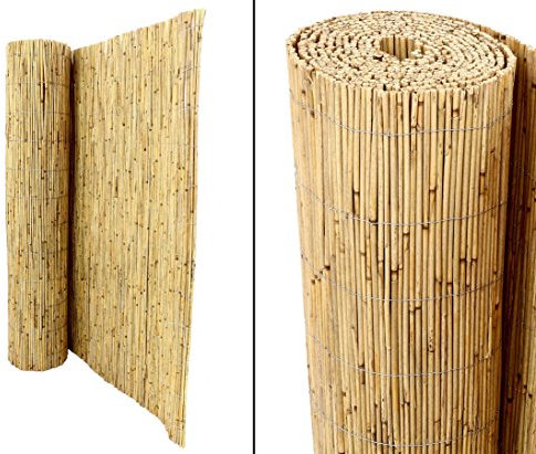 bambus-discount.com Stuoia di canne Premium 120 x 600 cm - Stuoia di canne per la Privacy Beach 1,2 m x 6 m Made in EU