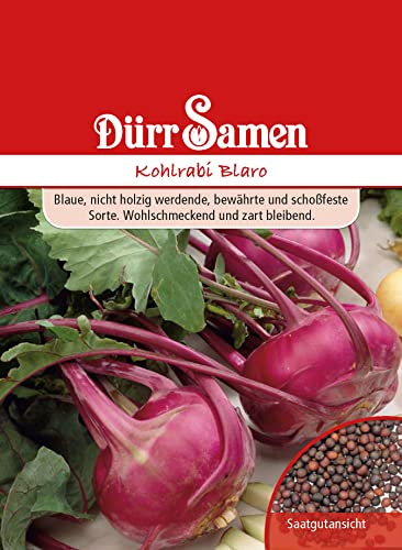 Dürr-Samen - Kohlrabi Blaro Saatgut