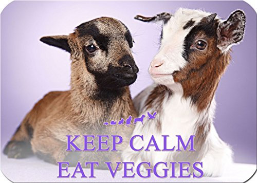 +++ Ziege & Schaf - Schneidebrett Dekoglas GLAS Dekoteller Brett - GO VEGAN 18