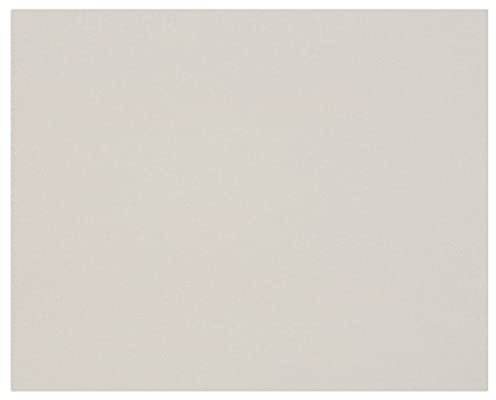 Clairefontaine 93979C Packung (mit 10 Bögen Pappe, 60 x 80 cm, 1,5 mm, 975 g, ideal für Modellbau, leicht und glatt, 100% recycelt) 10er Pack grau