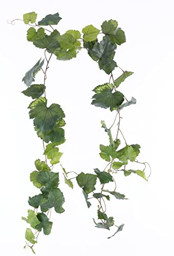kunstpflanzen-discount.com Edle Traubenblatt Girlande ca. 186cm uv-beständig mit 54 Blättern in Mehreren Grüntönen - Dekorationspflanzen für Weinfeste und Restaurants