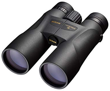 Nikon Prostaff 5 10X50 Fernglas