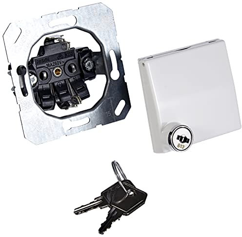 Jung Schuko Steckdose 16 A 250 V Bruchsicher mit Klappdeckel und Sicherheitsschloss Serie AS 500 Alpinweiß, 1 Stück, AS 1520 BFKLSL WW