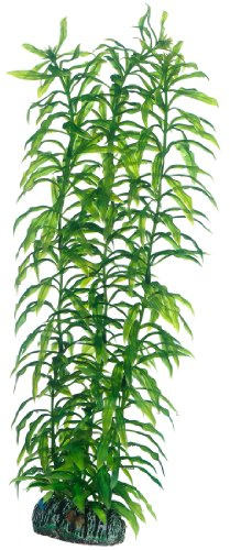 Hobby Aquaristique Heteranthera I 34 cm I Réplique réaliste I Possibilités de cachette et Points d'orientation pour la Formation du Territoire I N'affecte Pas la qualité de l'eau