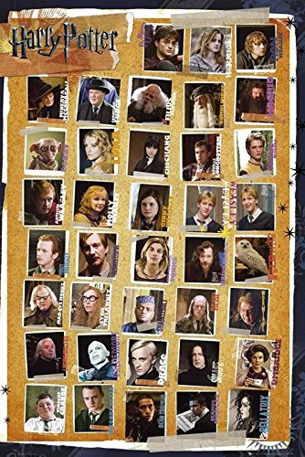 Harry Potter und die Heiligtümer des Todes Poster (61cm x 91,5cm) + Geschenkverpackung. Verschenkfertig!