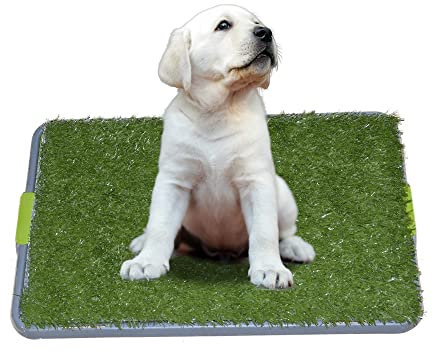 Facile Dog Potty Training - Made avec gazon synthétique - 3 systèmes stratifiés - Idéal pour les chiens coincés dans la maison toute la journée - une utilisation en intérieur. A Patch of Gazon synthétique détenus par un système de grille surélevée s'inscrit parfaitement dans le Pan Plateau. C'est comme une boîte de litière chien ou un chien pot intérieur sans l'odeur