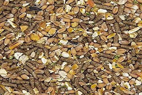 Versele-laga - Pienso Mezcla Gold 4 de la colección Country´s Best para gallinas (5kg) (Puede Variar)