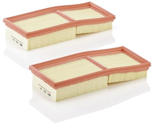 MANN-FILTER, C 2861-2 Luftfilter