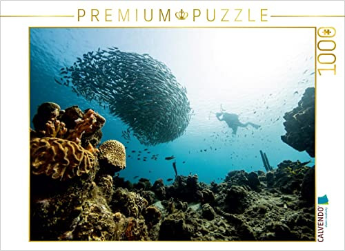 CALVENDO Puzzle The Sickle - Curaçao 1000 Pieces 64 x 48 cm from NaturePicsFilms