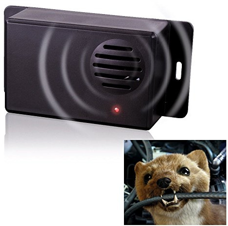 Beckmann Gardigo défense Mobile Piles martre martres Chien Chat répulsif Anti-Animaux Raton Laveur
