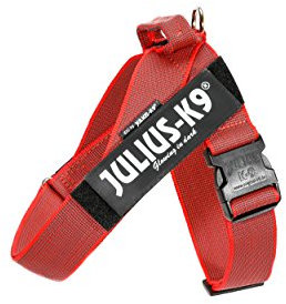 Julius-K9, IDC® Color & Gray® Beltgeschirr