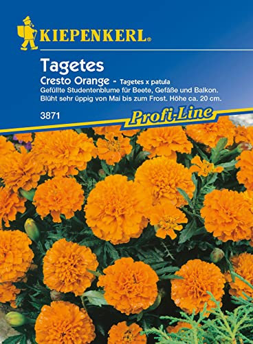 Kiepenkerl Tagetes patula Cresto Orange