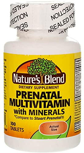 Nature's Blend Multivitamin Prenatal Formula 100 CT (Pack of 2)