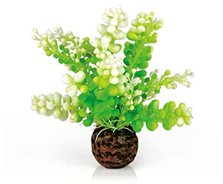 biOrb 46090 Aquarien Caulerpa, grün - Aquarien-Dekoration, Pflanzen-Imitation, geeignet für alle biOrb Modelle