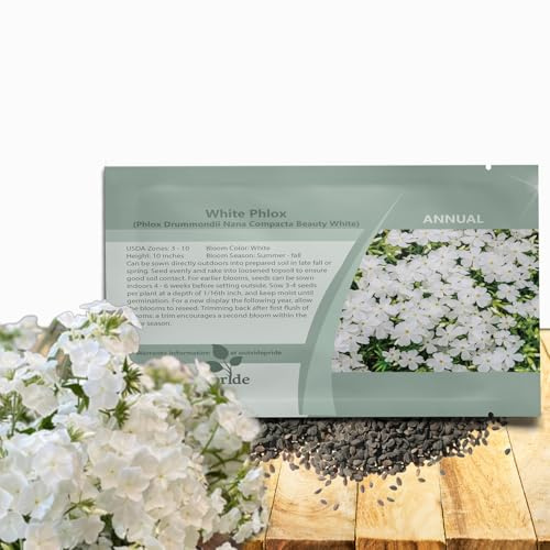 Outsidepride White Phlox Seeds - 1000 Pcs Annual, Compact & Self-Seeding Flower Seeds for Planting Vibrant White Blooms in Pollinator Gardens, Borders, Containers & Floral Arrangements