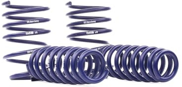 H&R Fahrwerksatz, HR 291831 Federn Sportfedersätze/Performance Lowering Springs von H&R (29183-1) Federsatz Federung/Dämpfung Schraubenfeder, Federung
