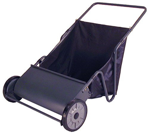 Greenstar 11398 Balai-ramasseur à pousser 66 cm