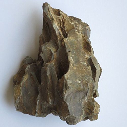 ca. 5 kg Schuppenstein, Dekosteine, Aquarium und Terrarien