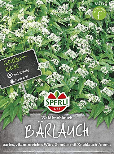 Bärlauch Waldknoblauch