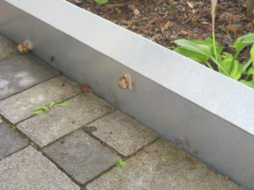 Schneckenzaun Metall feuerverzinkt 6 qm